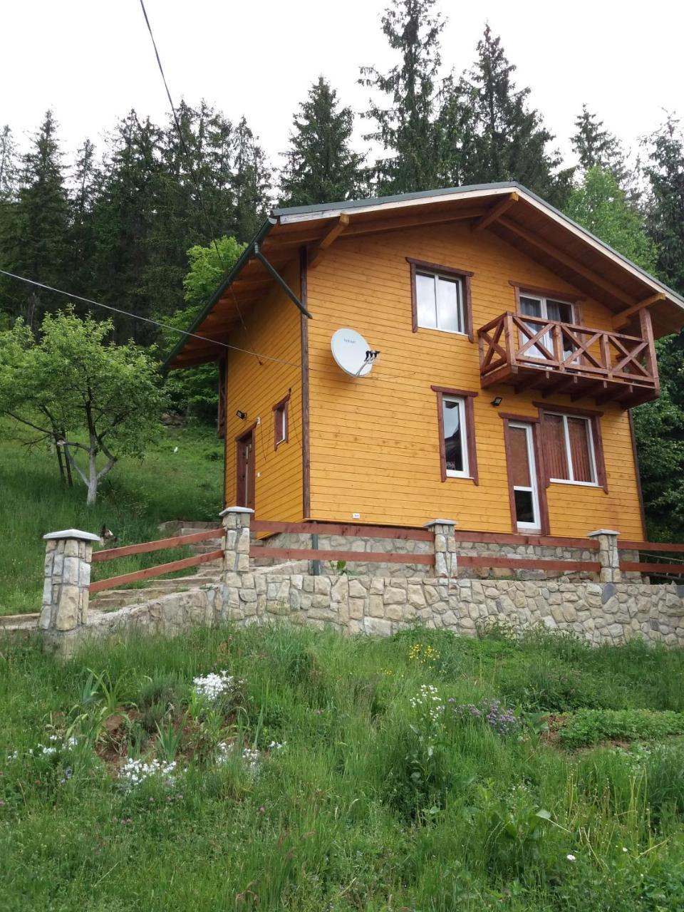 Смериковий Jaremče Esterno foto